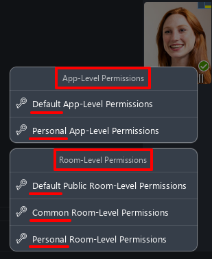 Screenshot of the user permissions menu visible to Virola server admin