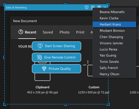 Screenshot of a screen sharing frame