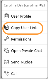 Copy the link to user's profile Copy the link to user's profile
